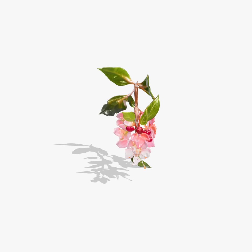 Lonicera Minor Vibrant Petals and Foliage model pack